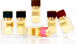 Dolce & Gabbana Velvet Collection